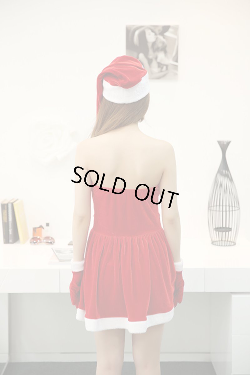 画像3: ビジューサンターコスチューム (3)