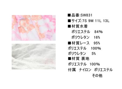 画像3: レース体型カバーアップ4点セット