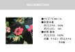 画像9: ワンショルター花柄ビキニ (9)