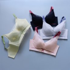 画像1: 単品ブラジャー (1)