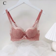 画像4: 単品ブラジャー (4)