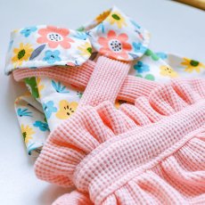 画像5: ペット用品 (5)