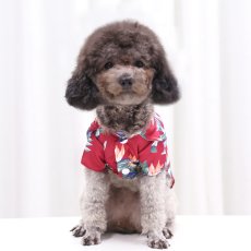 画像4: ペット用品 (4)