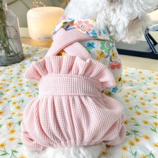 画像3: ペット用品 (3)