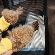 画像3: ペット用品 (3)