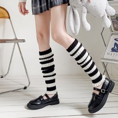 画像1: レグフォマー (1)