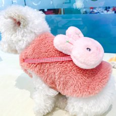 画像1: ペット用品 (1)