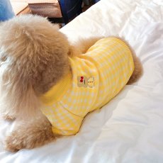 画像1: ペット用品 (1)