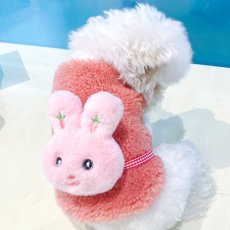 画像2: ペット用品 (2)