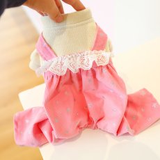 画像2: ペット用品 (2)