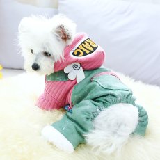 画像2: ペット用品 (2)