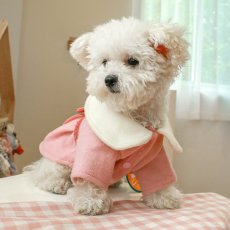 画像1: ペット用品 (1)