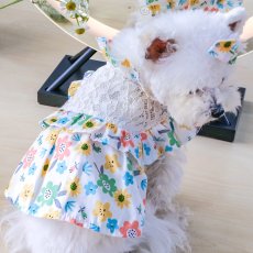 画像2: ペット用品 (2)