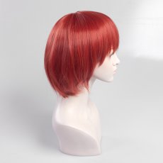 画像2: Cosplayウィング (2)