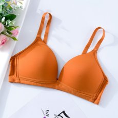 画像3: 単品ブラジャー (3)
