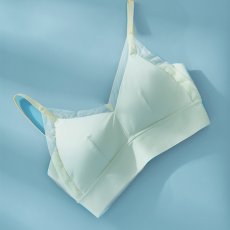 画像5: 単品ブラジャー (5)