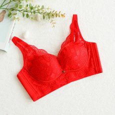 画像3: 単品ブラジャー (3)