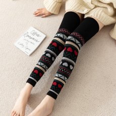 画像1: レグフォマー (1)