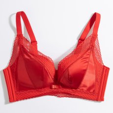画像4: 単品ブラジャー (4)