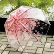 画像2: 傘・雨具  (2)