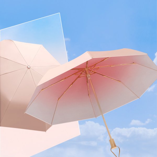画像1:  傘・雨具 (1)