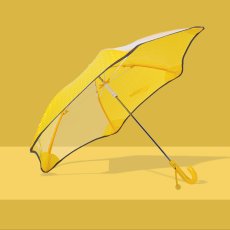 画像2: 傘・雨具 (2)