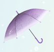 画像2: 傘・雨具 (2)