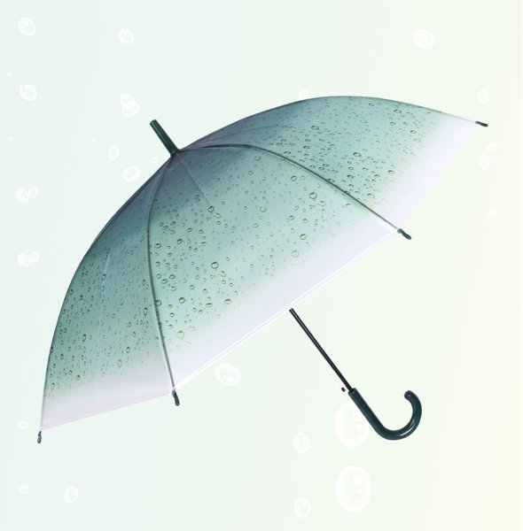 画像1: 傘・雨具 (1)