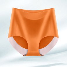 画像4: 女性ショーツ (4)