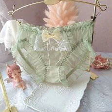 画像2: 女性ショーツ (2)