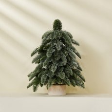 画像3: クリスマスツリー (3)