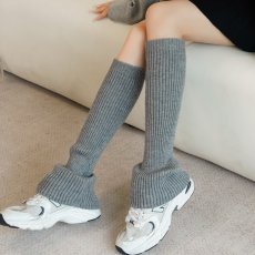 画像1: レグフォマー (1)