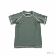 画像7: フランドシーマライン半袖Tシャツ (7)