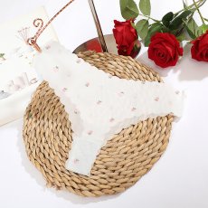 画像4: Tバック (4)