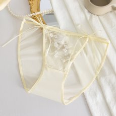 画像2: 女性ショーツ (2)