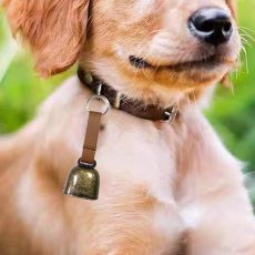 画像1: 犬用鈴 (1)