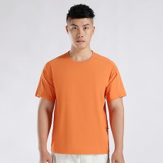 画像2: メンズ半袖 Tシャツ (2)