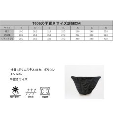 画像15: 水着用インナーパンツ、防盗撮ショーツ、Ｔバック、インナー (15)
