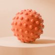 画像5: ヨガ関連用品 (5)