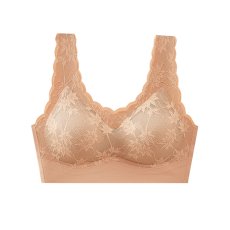 画像3: ブラ関連品 (3)