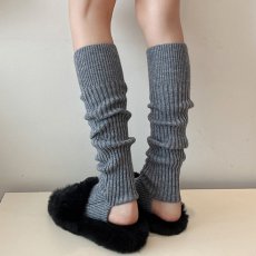 画像6: レグフォマー (6)