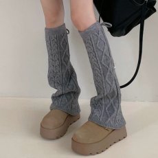 画像1: レグフォマー (1)