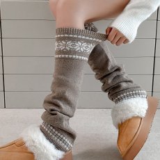 画像1: レグフォマー (1)