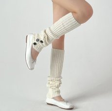 画像1: レグフォマー (1)