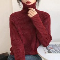 画像9: ニットソー上着 (9)