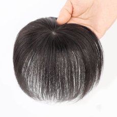 画像1: カツラ (1)