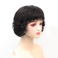 画像1: ウイッグ（wig） (1)