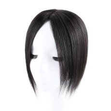 画像1: カツラ (1)