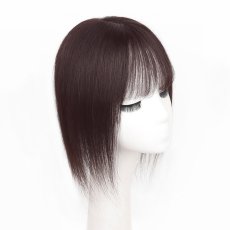 画像1: カツラ (1)