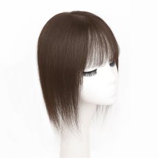 画像3: カツラ (3)